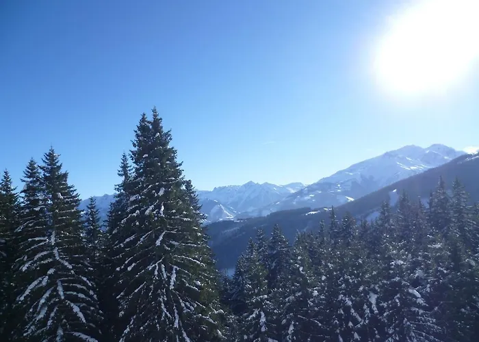 Kitz Residenz 6 Διαμέρισμα Kaprun